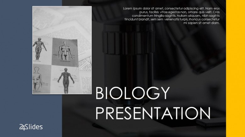 Detail Background Ppt Untuk Biologi Nomer 31