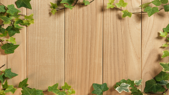 Detail Background Ppt Wood Nomer 41