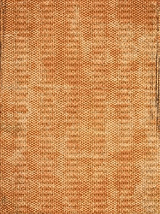 Detail Background Pramuka Coklat Nomer 48