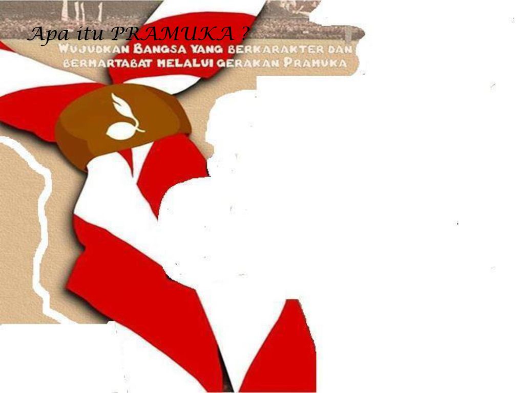 Detail Background Pramuka Hd Nomer 46
