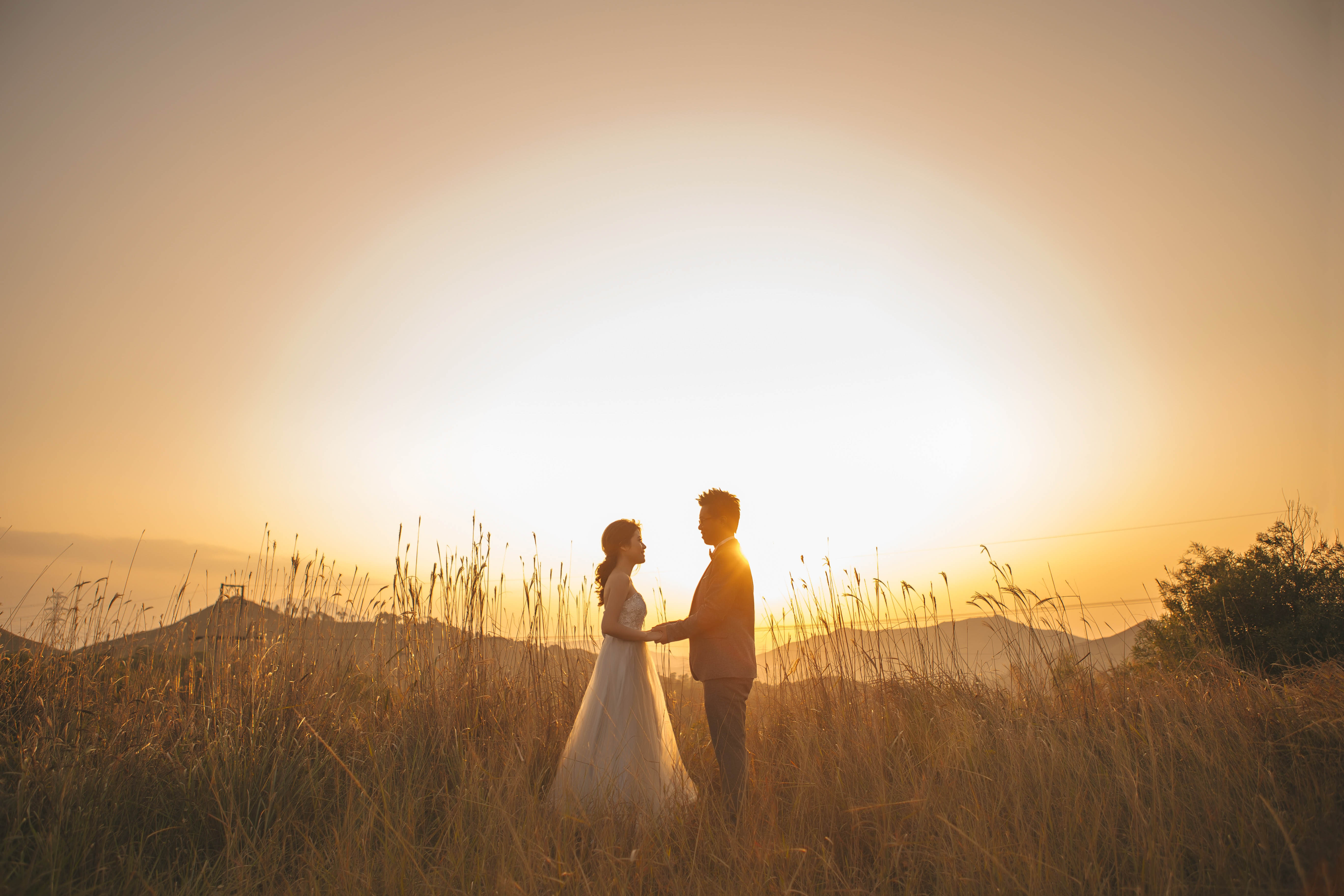 Detail Background Pre Wedding Nomer 46