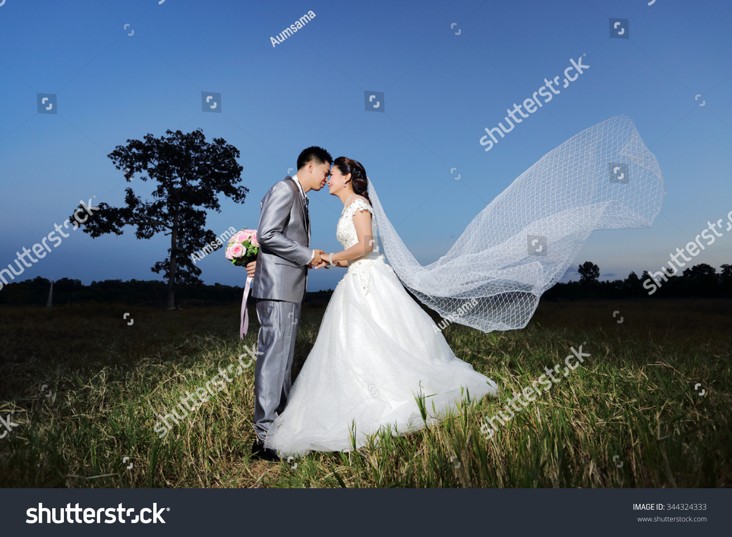 Detail Background Prewedding Outdoor Full Hd Nomer 13