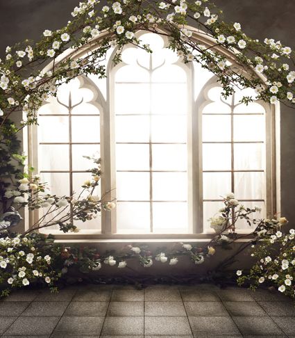 Detail Background Preweding Nomer 8