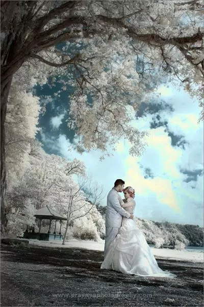 Detail Background Preweding Nomer 9