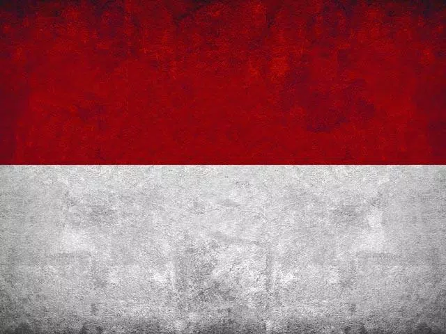 Detail Background Proklamasi Nomer 8