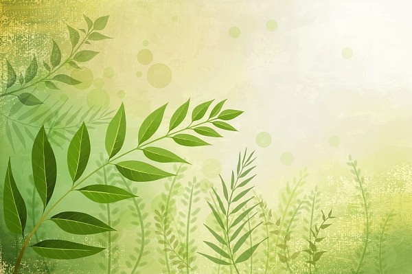 Detail Background Psd Nomer 50