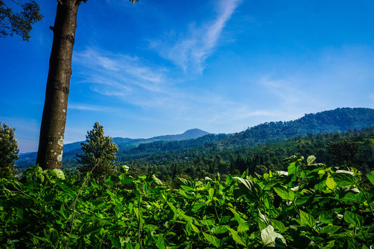 Background Puncak - KibrisPDR