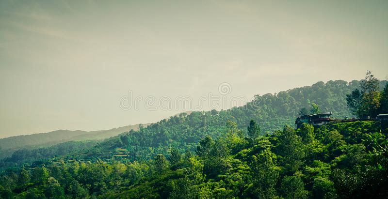 Detail Background Puncak Nomer 13