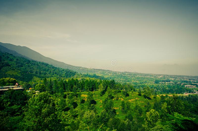 Detail Background Puncak Nomer 16