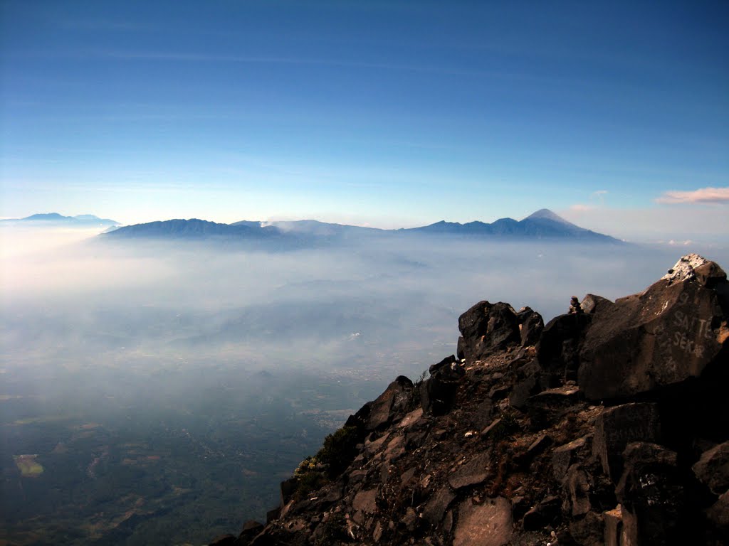 Detail Background Puncak Nomer 19