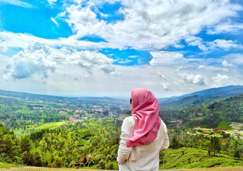 Detail Background Puncak Nomer 20