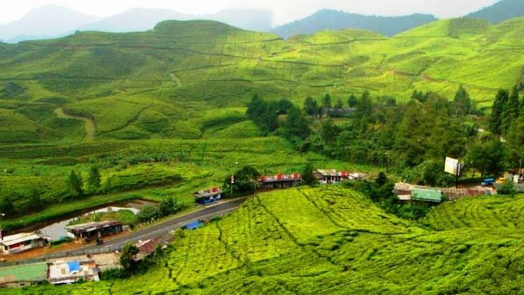 Detail Background Puncak Nomer 23
