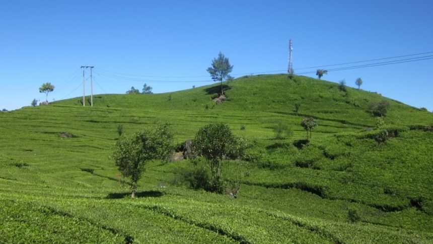 Detail Background Puncak Nomer 29