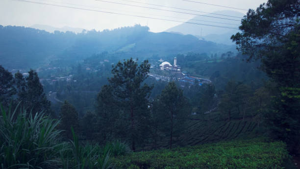 Detail Background Puncak Nomer 31