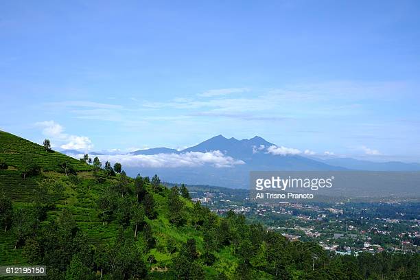 Detail Background Puncak Nomer 42