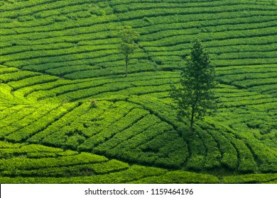 Detail Background Puncak Nomer 6