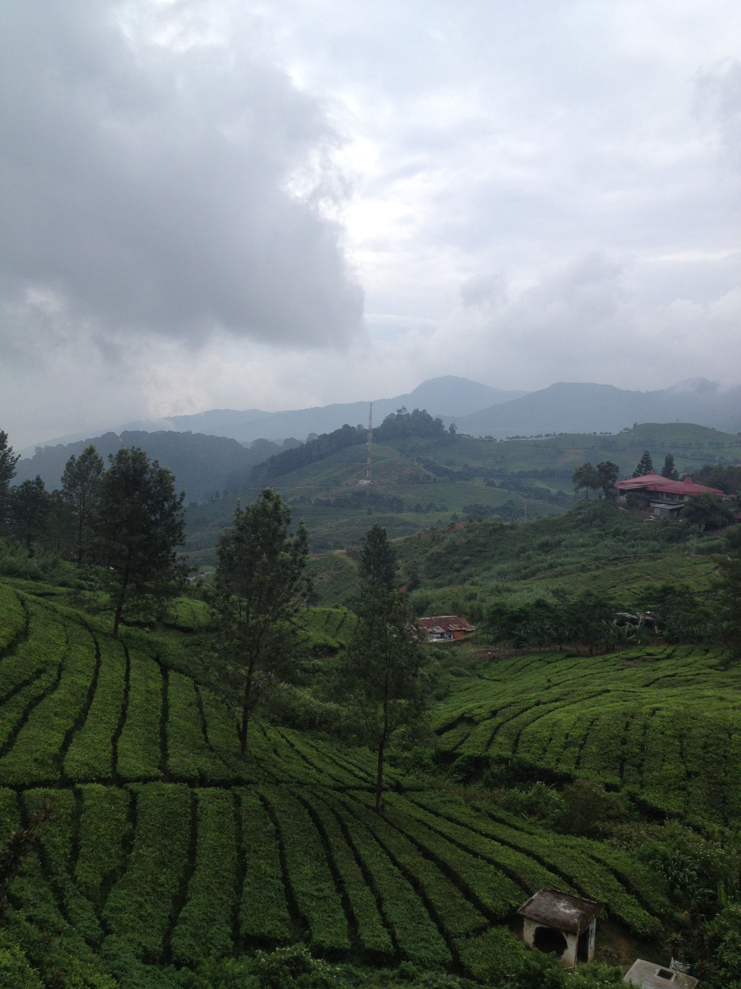 Detail Background Puncak Nomer 7