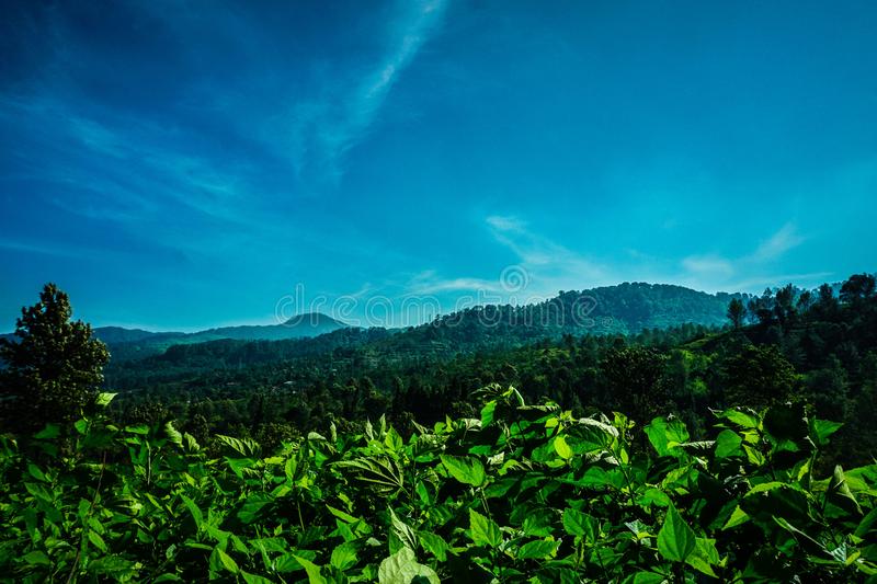 Detail Background Puncak Nomer 9