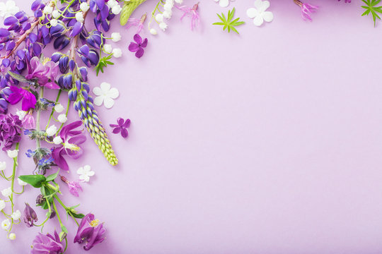 Detail Background Purple Flower Nomer 21