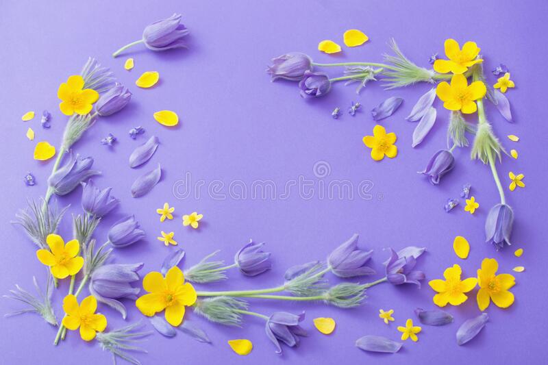 Detail Background Purple Flower Nomer 42