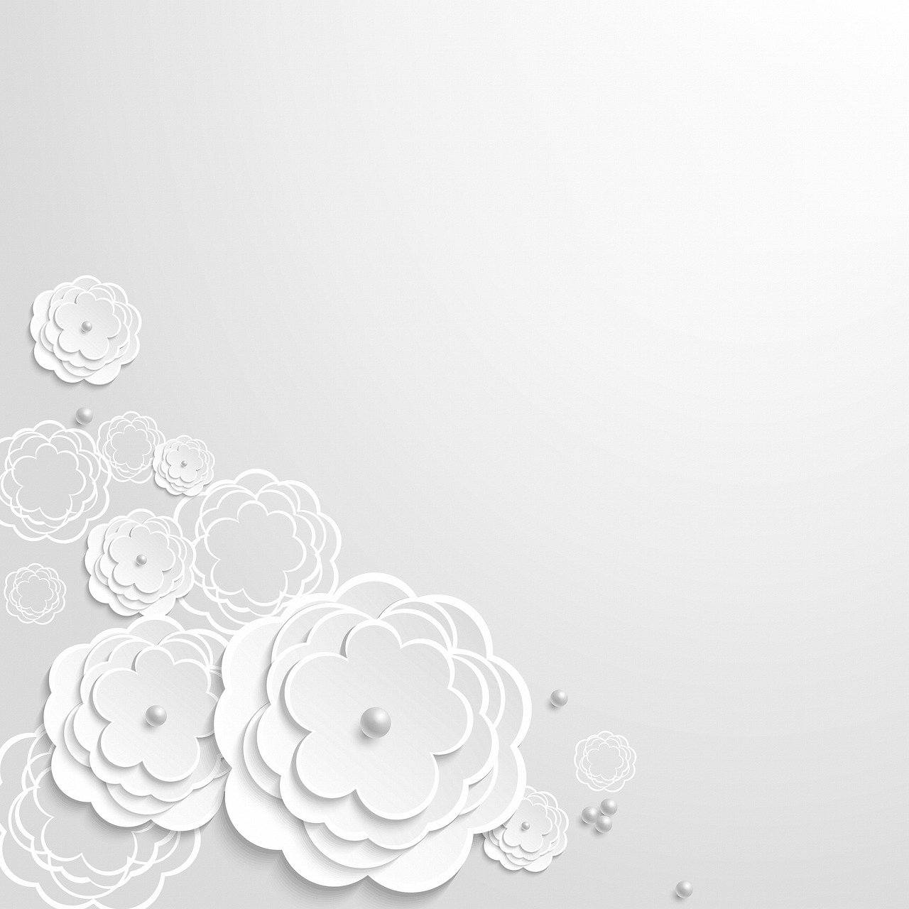 Detail Background Putih Bunga Nomer 2