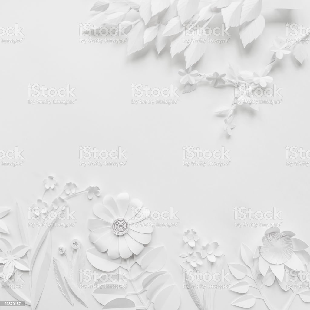 Detail Background Putih Bunga Nomer 15