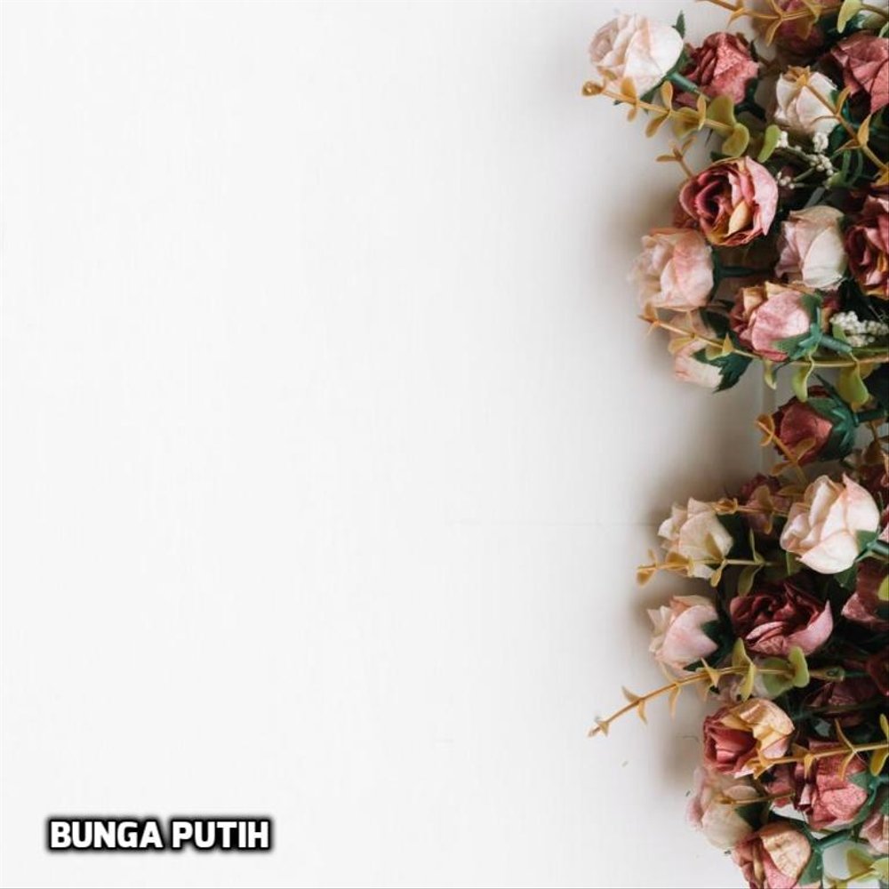 Detail Background Putih Bunga Nomer 31