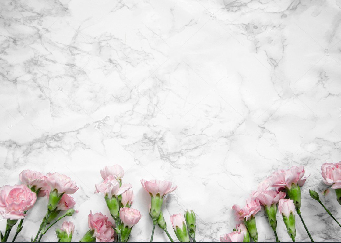 Detail Background Putih Bunga Nomer 36