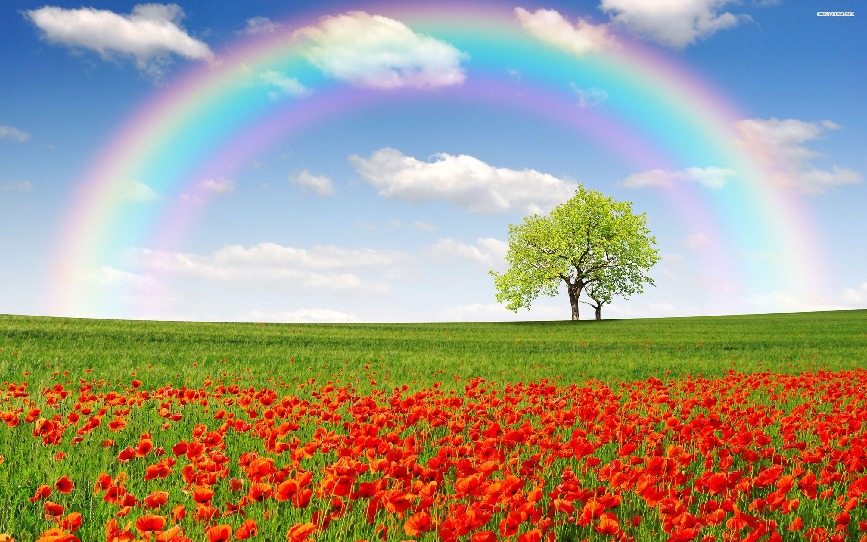 Detail Background Rainbow Hd Nomer 17