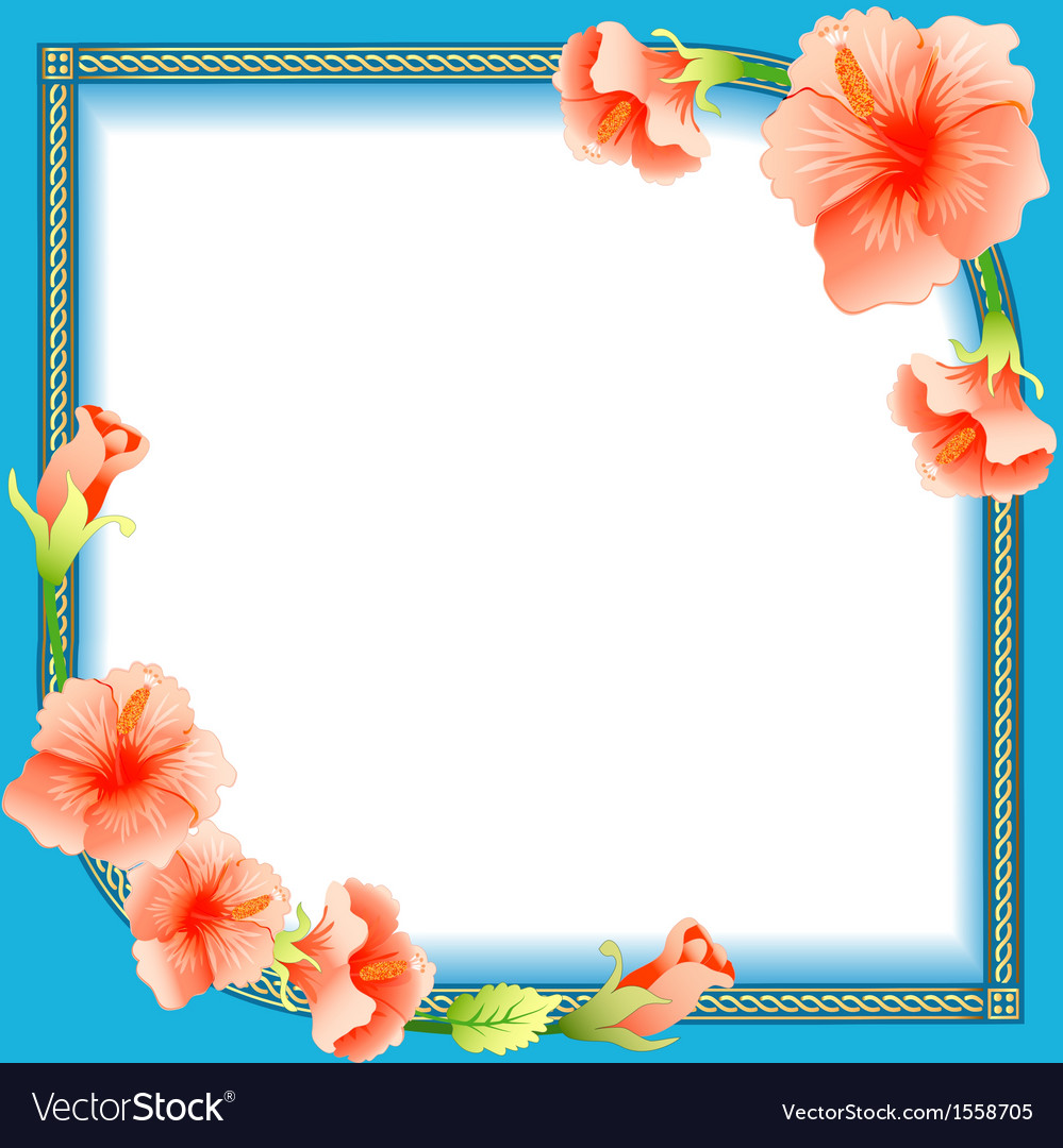 Detail Background Rame Nomer 2