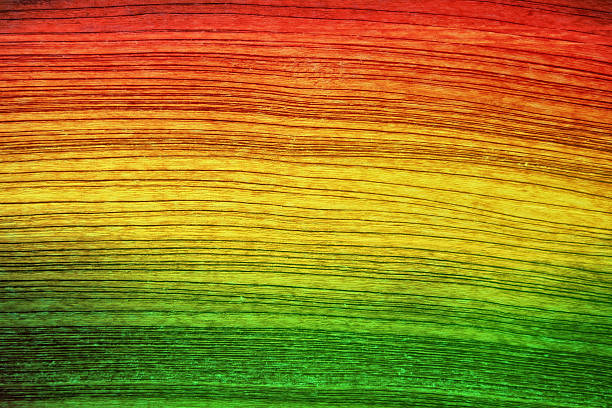 Detail Background Rasta Nomer 14