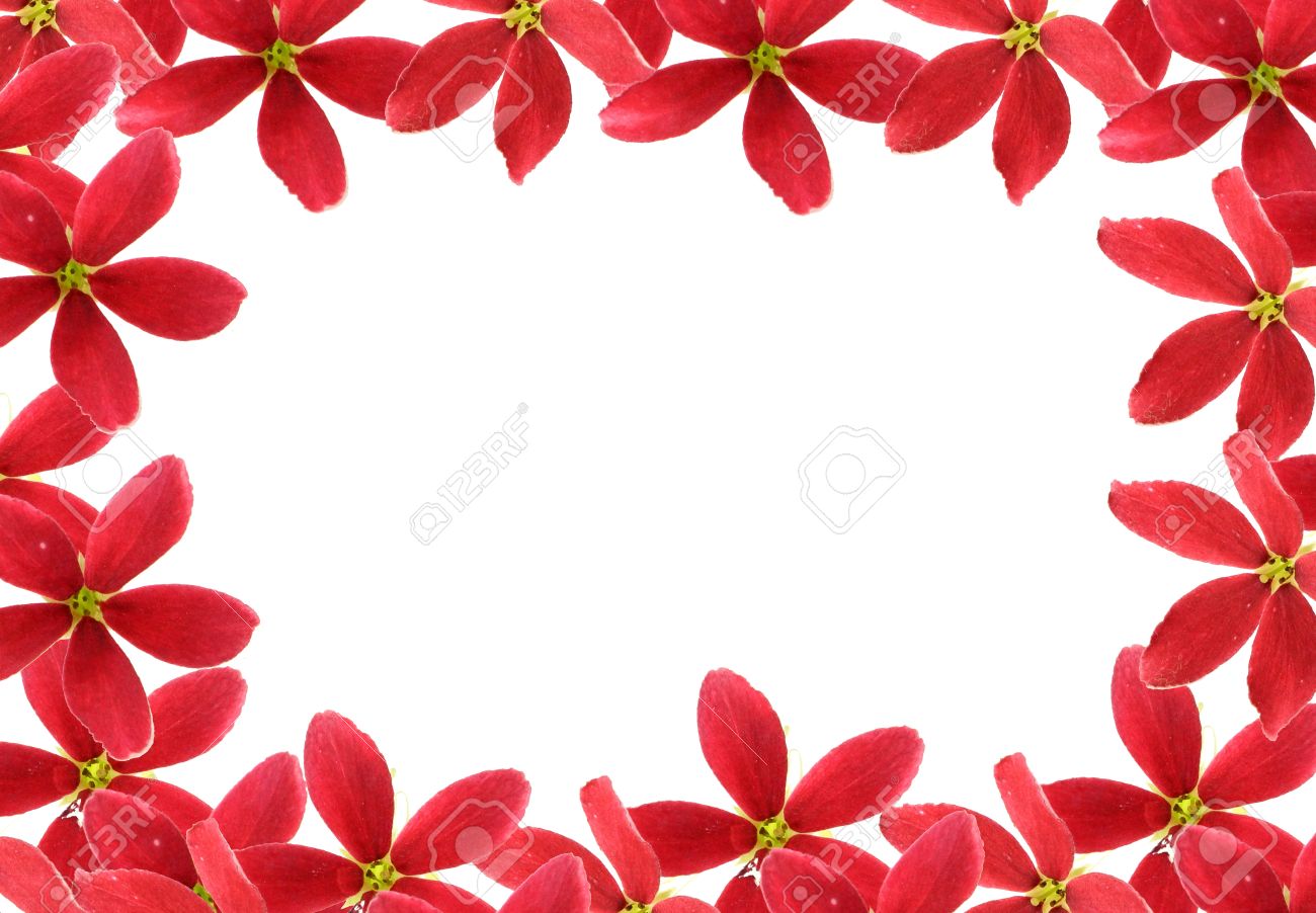 Detail Background Red Flower Nomer 18