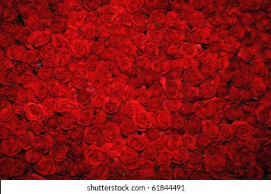 Detail Background Red Flower Nomer 3