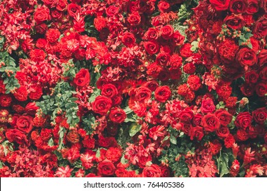 Detail Background Red Flower Nomer 27