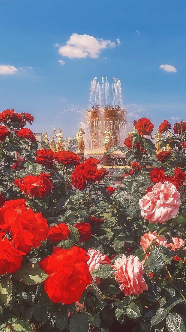 Detail Background Red Flower Nomer 32