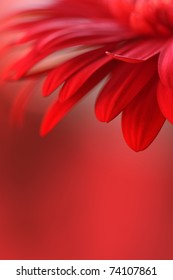 Detail Background Red Flower Nomer 42