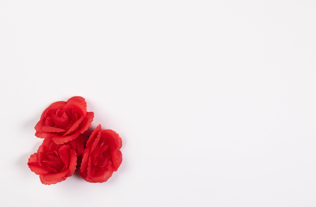 Detail Background Red Flower Nomer 48