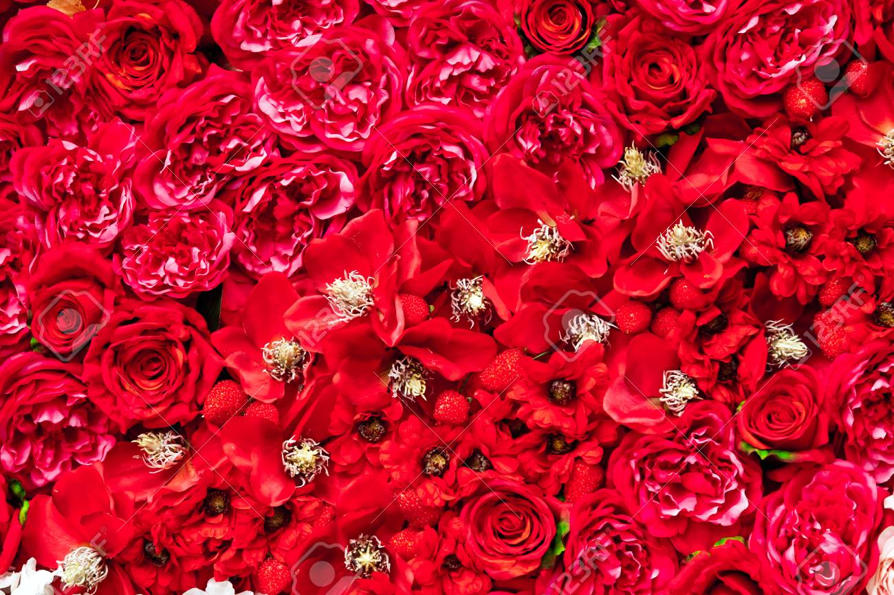 Detail Background Red Flower Nomer 6