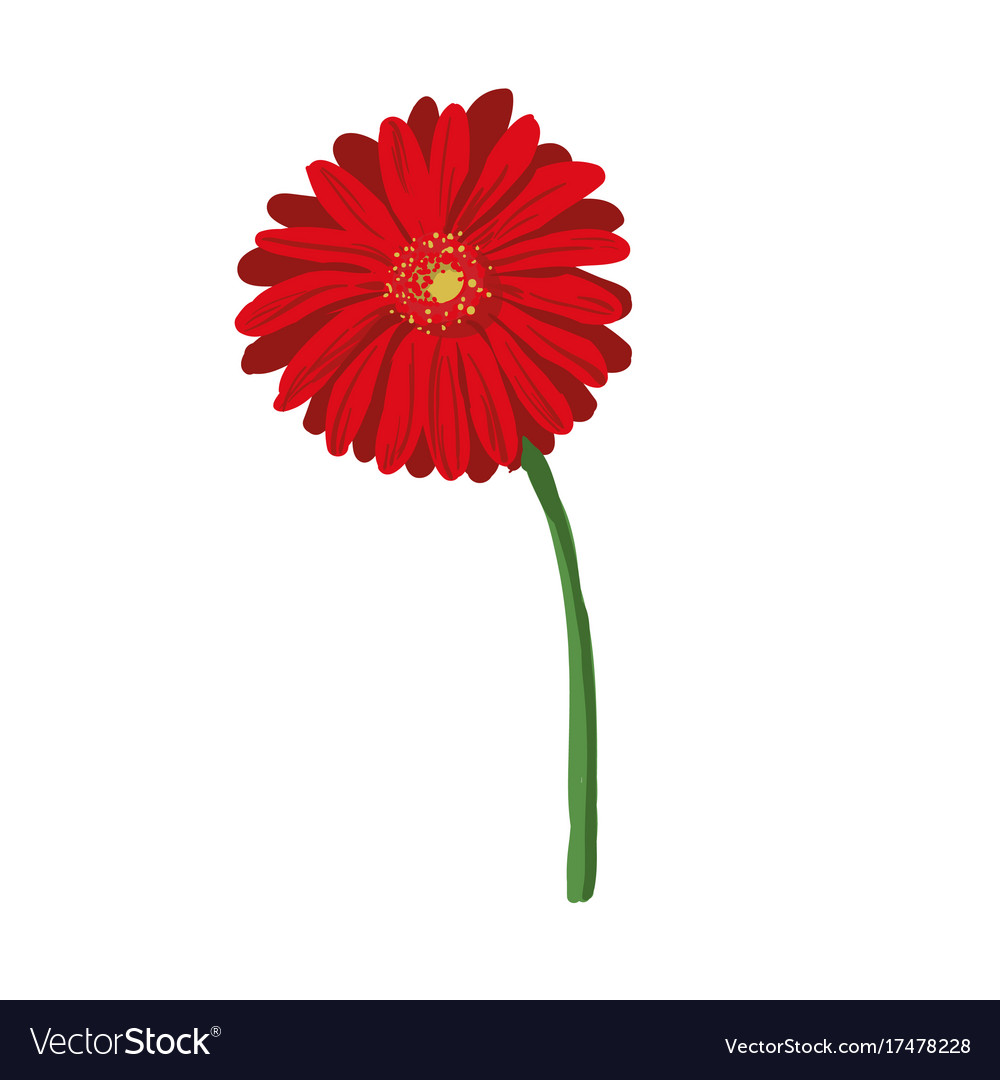 Detail Background Red Flower Nomer 55