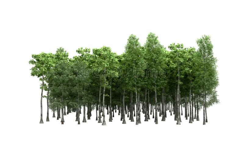 Detail Background Render Nomer 14