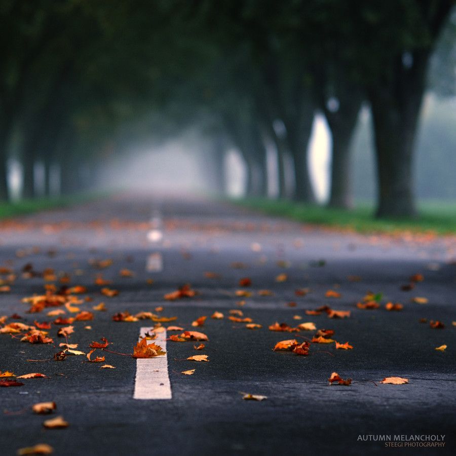 Detail Background Road Hd Nomer 51