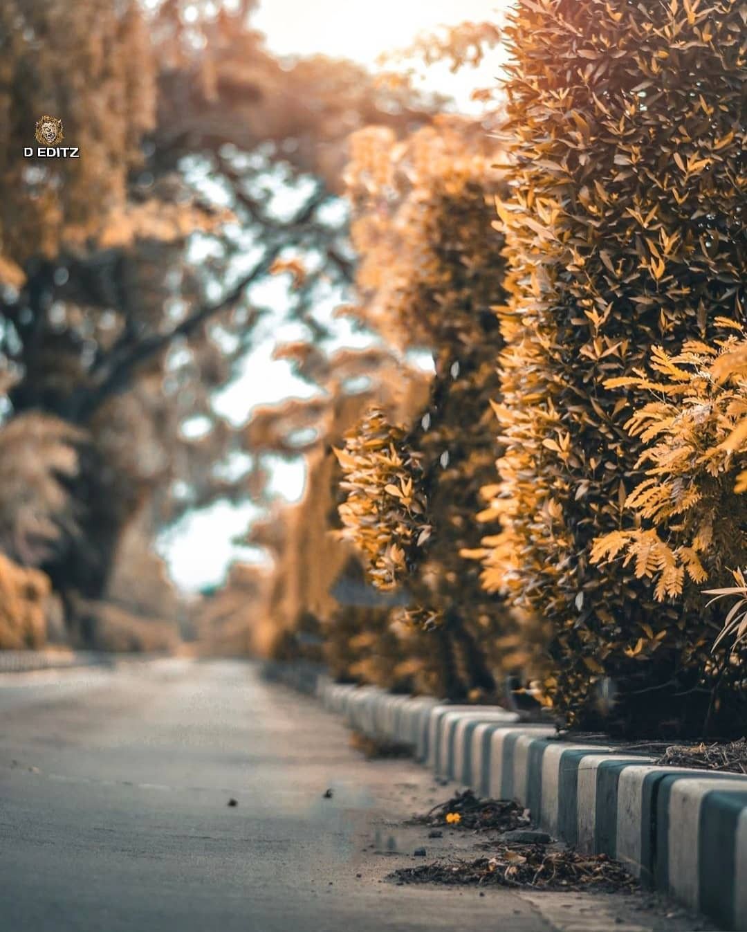 Detail Background Road Hd Nomer 56