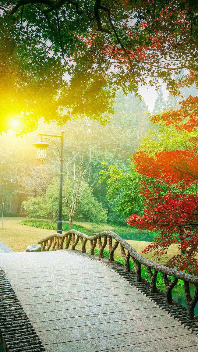 Detail Background Romantic Hd Nomer 32