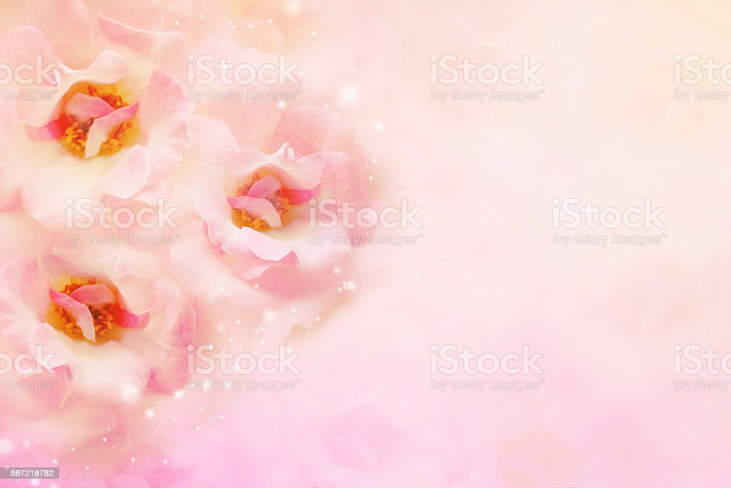 Detail Background Romantis Bunga Nomer 43