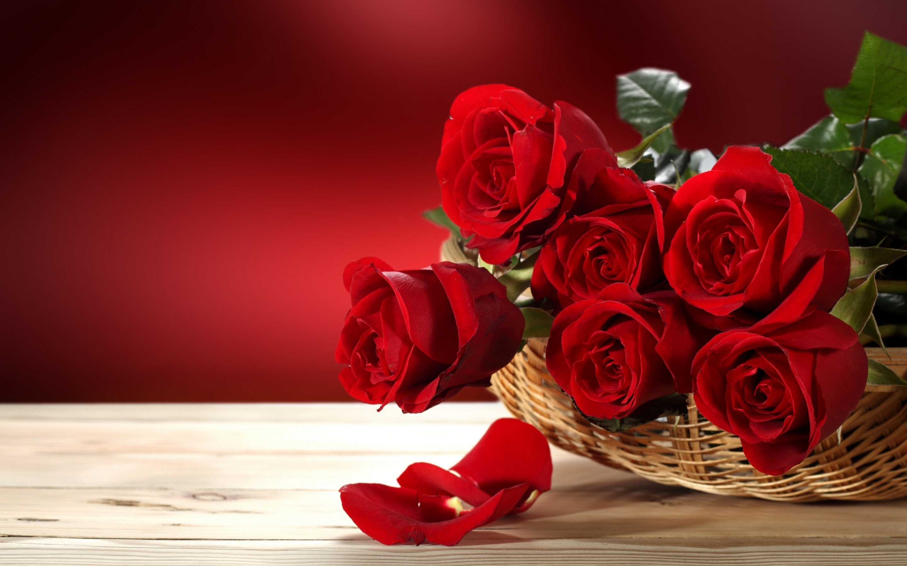 Detail Background Rose Hd Nomer 30