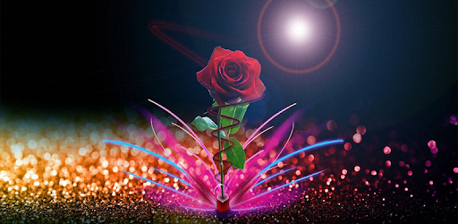 Detail Background Rose Hd Nomer 38