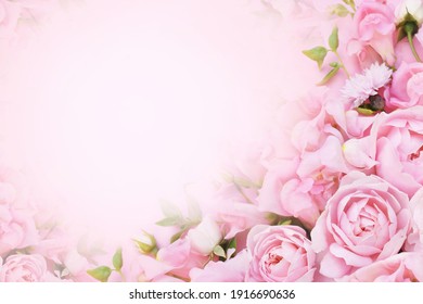 Detail Background Rose Pink Nomer 3