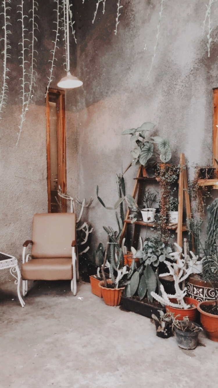 Detail Background Rumah Aesthetic Nomer 5
