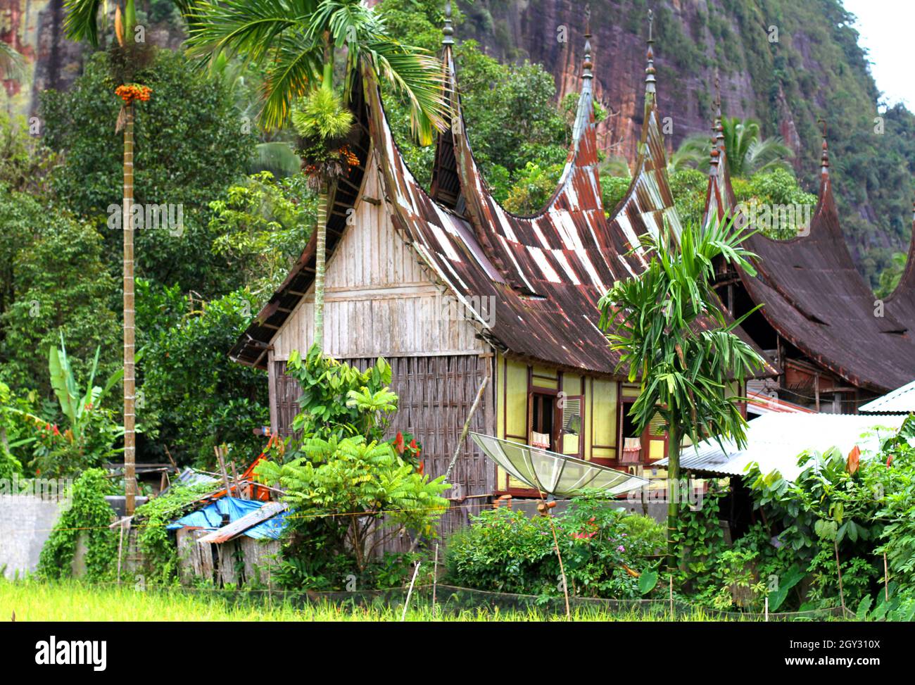 Detail Background Rumah Gadang Nomer 35