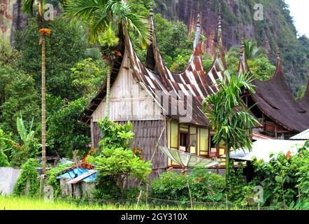 Detail Background Rumah Gadang Nomer 52